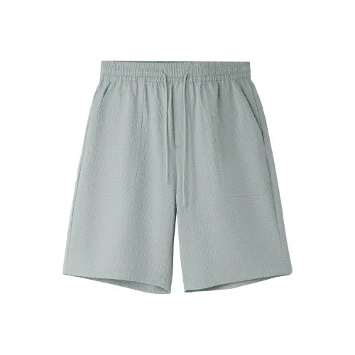 HLA Светло-серый клетчатый 34 Мужские Повседневные шорты