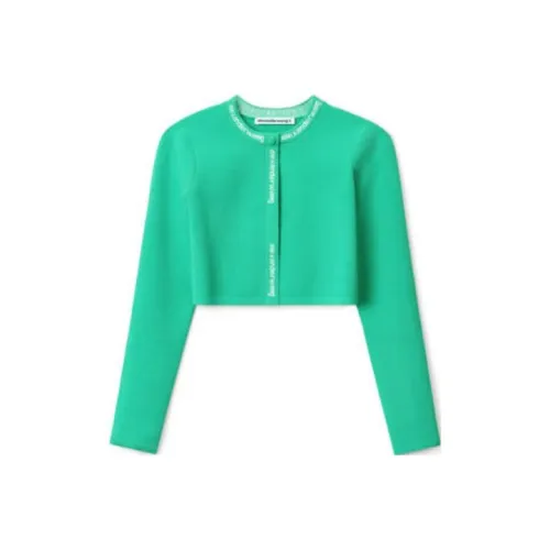 Alexander Wang SS22 Slim Fit Трикотаж Женский Зеленый