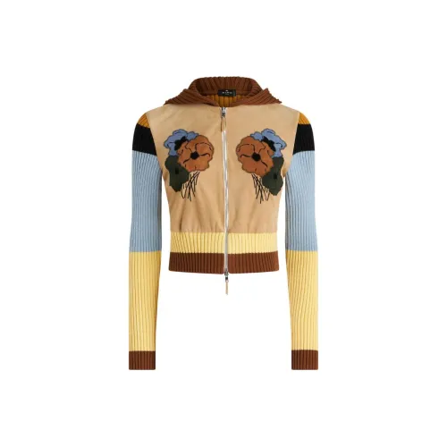 ETRO Свитер Женский Шоколад Коричневый