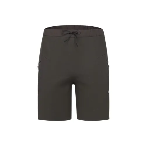 DESCENTE Triathlon Series Повседневные шорты Мужские Коричневые