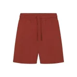 Ржаво-красный