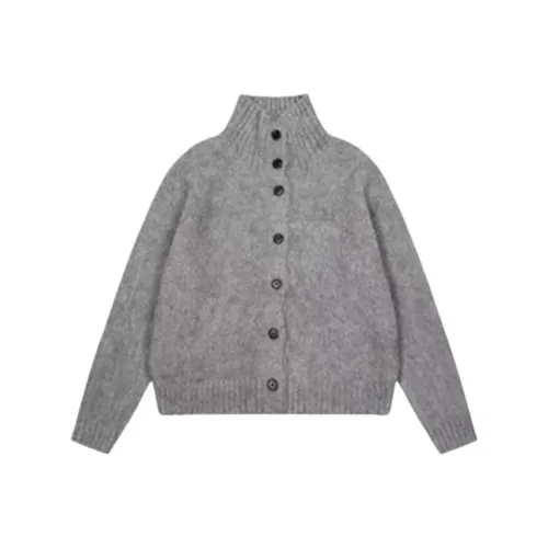 BDGU Серый Женские Свитеры