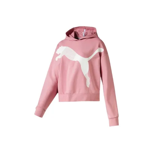 PUMA Свадьба Розовый Женские Свитшоты