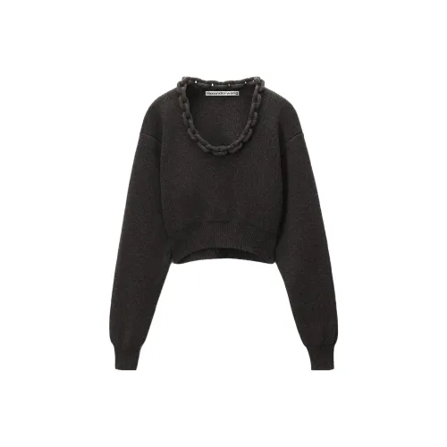 Alexander Wang Серые Женские Свитера