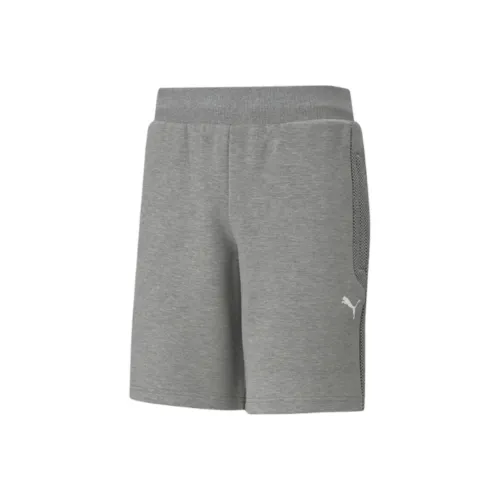 PUMA Sports Life Collection Повседневные шорты Мужские Серые