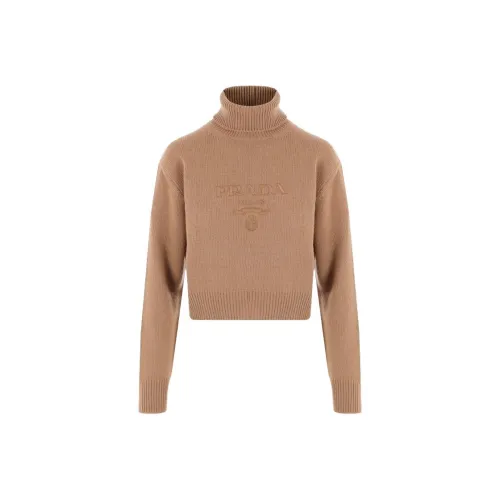 PRADA Коричневые Женские Свитеры