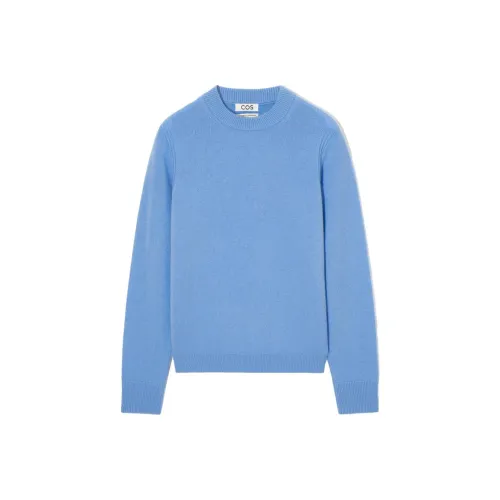 COS Светло-синий Женские Свитеры