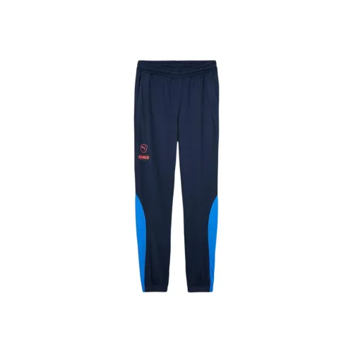 PUMA King Pro SS24 Футбол Тренировочные Штаны Футбол Низ Мужской Синий Черный