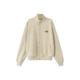 Слоновой серый