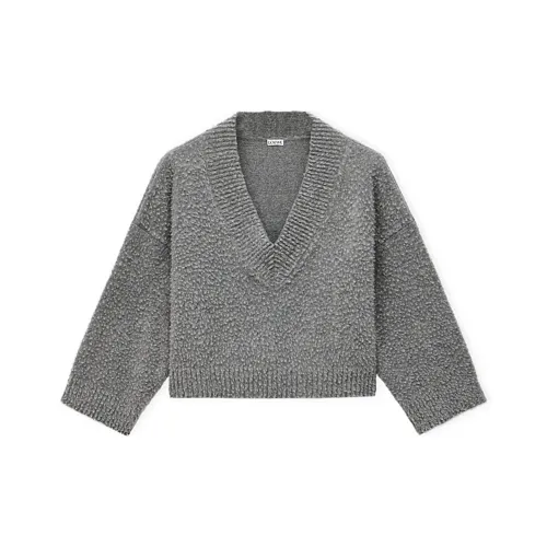 LOEWE Женские Свитеры