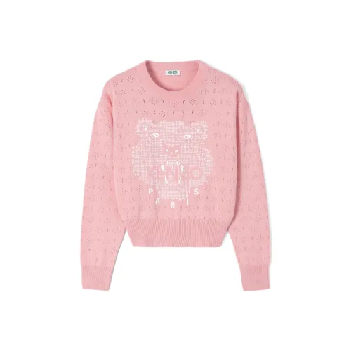 KENZO Розовые Женские Свитшоты