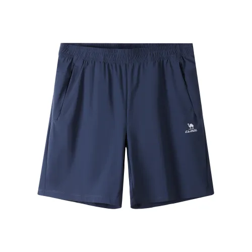 CAMEL Мужские Повседневные Шорты