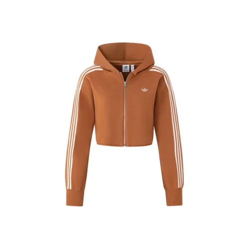Adidas Originals Premium Lightning Hoodie Sweater Women's Wild Brown