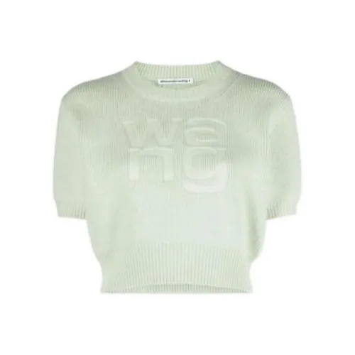alexander wang Зеленые Женские Свитеры