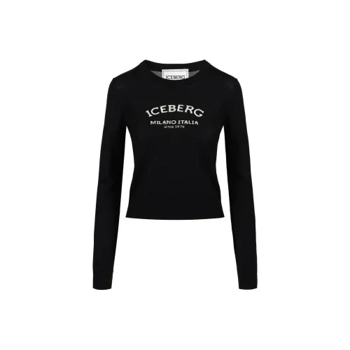 Цвет айсберга Черный Женские Свитеры