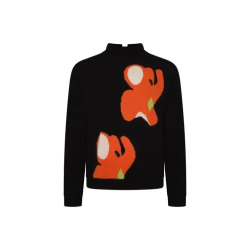 JW Anderson Черные Женские Свитеры