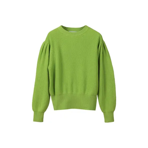 NancyCavally Зеленые Женские Свитеры