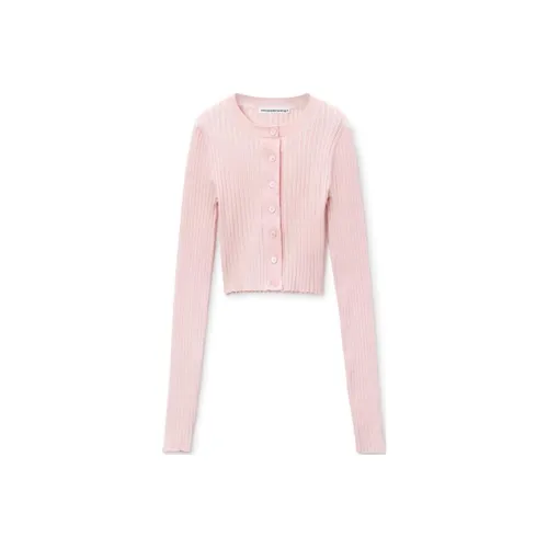 Alexander Wang FW24 Трикотаж Женский Балет Розовый