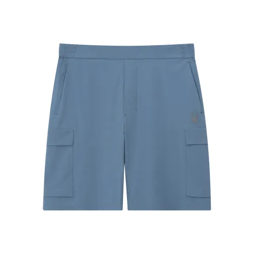 SPYDER Тренировка Повседневные Шорты Мужские