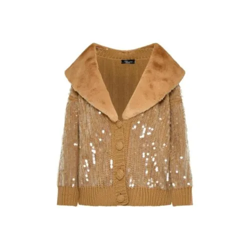 Blumarine FW22 Трикотаж Женский Коричневый