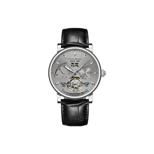 Коллекция GUANQIN Автоматический Механический Механизм Кожаный Ремешок Часы Мужские Серый Циферблат