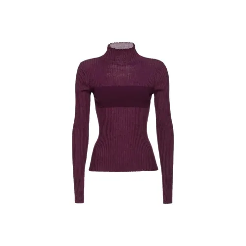 PINKO Фиолетовые Женские Свитеры