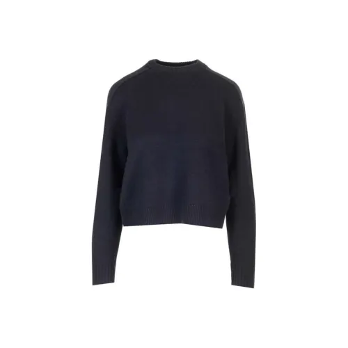 Theory Синий Женские Свитеры