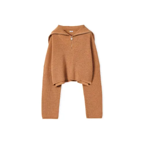 LOEWE FW22 Трикотаж Женский Коричневый