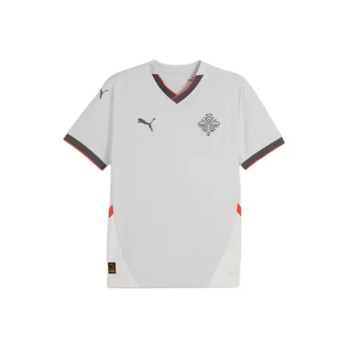PUMA Iceland 2024 Футбол Джерси Мужской Серый Белый Теплый Земляной Тон