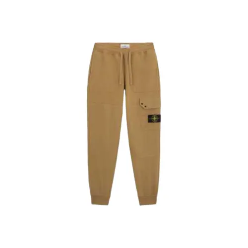 Stone Island Хаки Мужские Повседневные Брюки