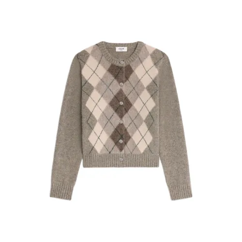 CELINE SS25 Свитер Женский Многоцветный