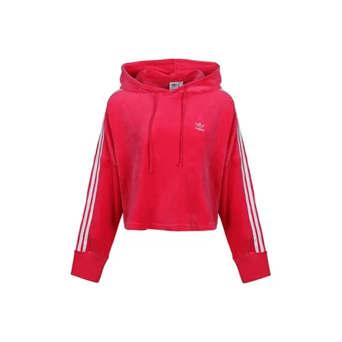 adidas originals Розово-красный Женские Свитшоты