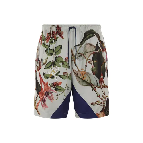 DRIES VAN NOTEN Многоцветные Мужские Повседневные Шорты