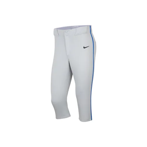 nike Vapor SELECT 2 Повседневные шорты Мужской Волчий серый Королевский синий Черный