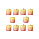 Радиант Свет 10 Сумка