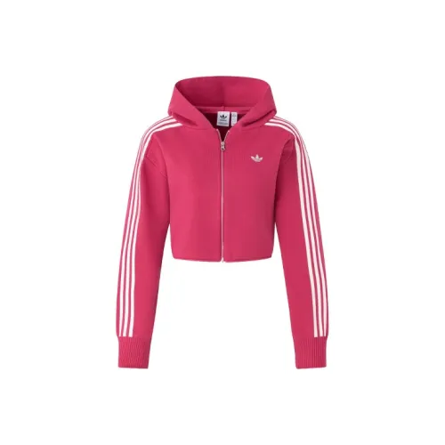 Adidas Originals Premium Lightning Hoodie Sweater Women's Purple Pink
