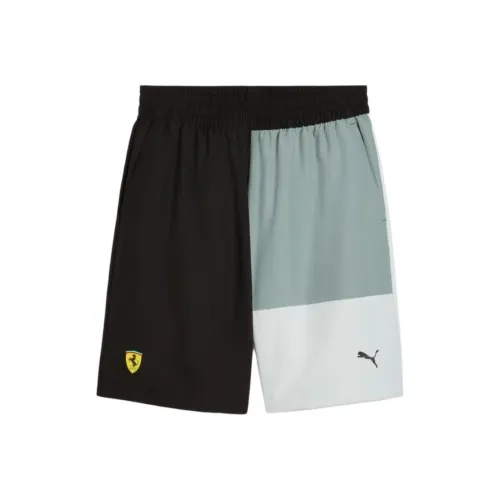 PUMA Повседневные шорты Мужские Многоцветные