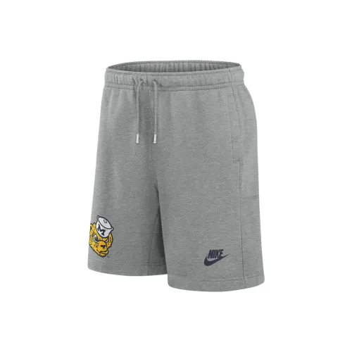 nike Michigan FW AW24 Мужские Nike College Шорты Повседневные шорты Мужские Серый