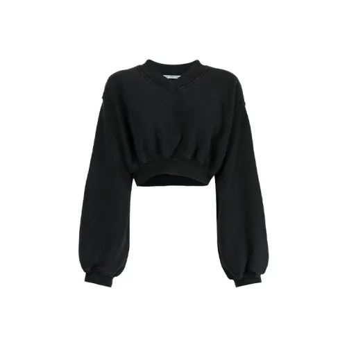 Alexander Wang Толстовка Женская Черная