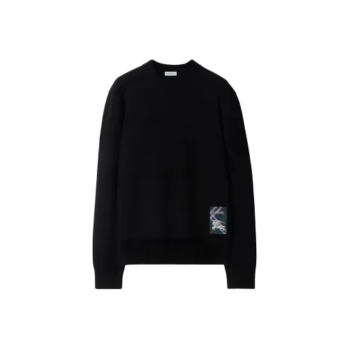 Burberry Черные Женские Свитеры