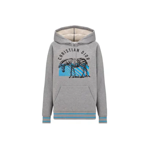 DIOR SS22 Свитшот Женский Серый