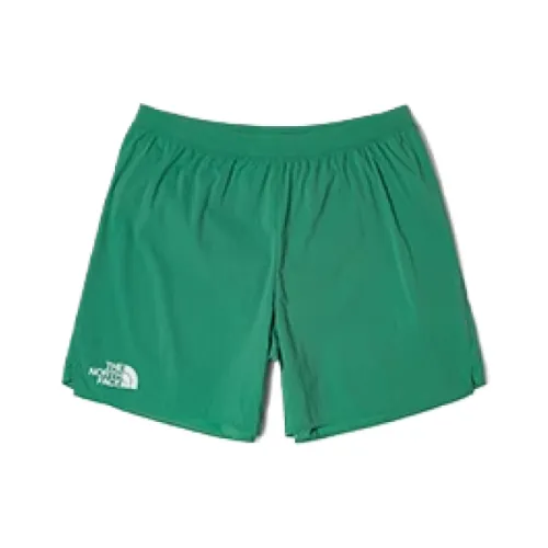 The North Face Повседневные шорты Мужские Зеленые