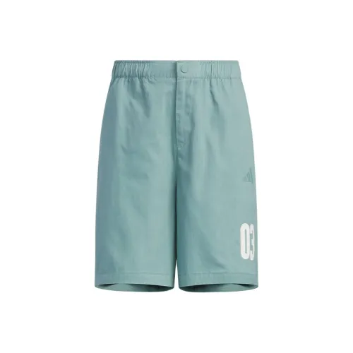 Adidas Повседневные шорты Мужские Мятно-синие