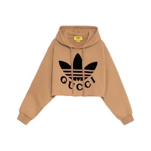 GUCCI Бежевые Женские Свитшоты