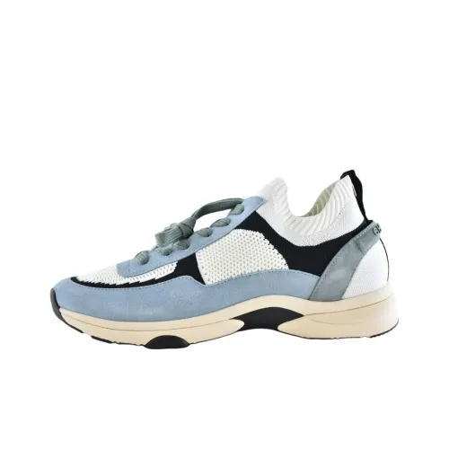 CHANEL 22c Early Spring Низкий топ Повседневная обувь Мужская Белый Синий