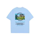 Далекий Небесный Лазурь-Черный Логотип