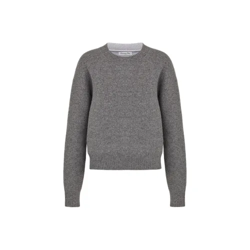 DIOR Quarterly New Products Серый Женский Свитшот