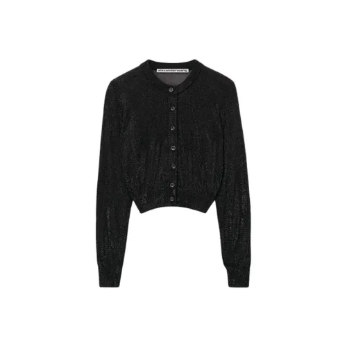 Alexander Wang FW24 Трикотаж Женский Черный