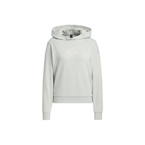 Adidas CITY ESCAPE Серебристо-серый Женские Свитшоты