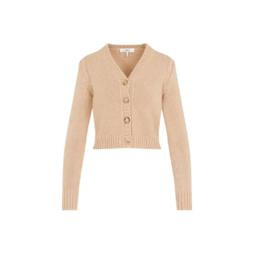 Chloé Бежевый Женский Трикотаж